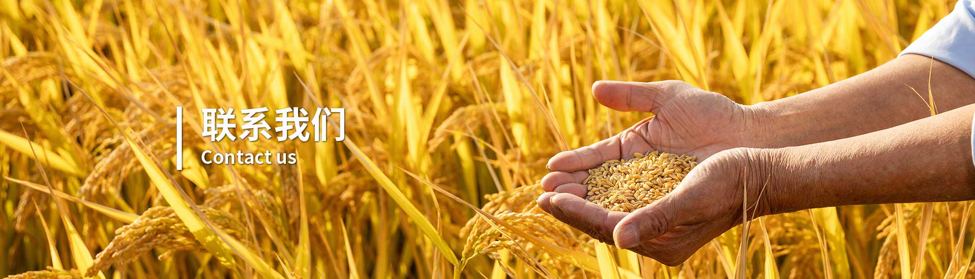 聯(lián)系我們 聯(lián)系我們